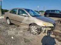 2005 Toyota COROLLA фото