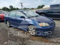 2005 Toyota COROLLA фото