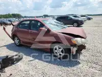 2005 Toyota COROLLA фото