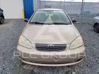 2005 Toyota COROLLA фото