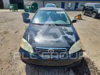 2005 Toyota COROLLA photo