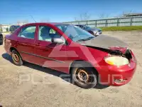 2005 Toyota COROLLA фото