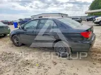 2005 Toyota COROLLA фото