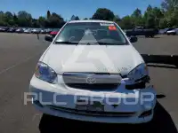 2005 Toyota COROLLA фото