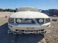 2005 Ford MUSTANG фото