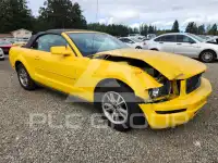 2005 Ford MUSTANG фото