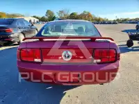 2005 Ford MUSTANG photo