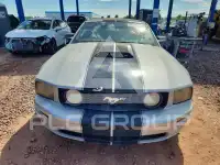 2005 Ford MUSTANG фото