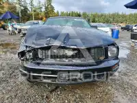 2005 Ford MUSTANG photo