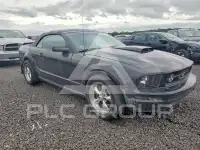 2005 Ford MUSTANG photo