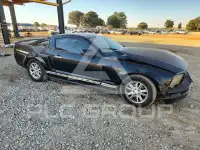 2005 Ford MUSTANG photo