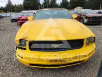 2005 Ford MUSTANG фото
