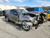 2005 Ford MUSTANG фото