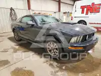 2005 Ford MUSTANG photo