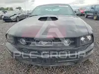 2005 Ford MUSTANG photo