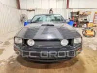 2005 Ford MUSTANG photo