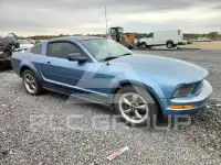 2005 Ford MUSTANG photo