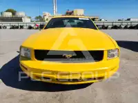2005 Ford MUSTANG photo