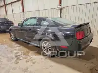 2005 Ford MUSTANG photo