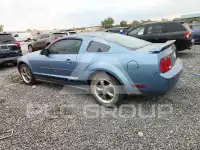 2005 Ford MUSTANG photo