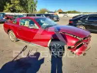2005 Ford MUSTANG photo