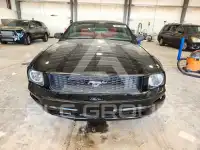 2005 Ford MUSTANG photo