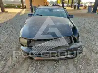 2005 Ford MUSTANG photo