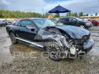 2005 Ford MUSTANG photo
