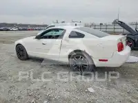 2005 Ford MUSTANG фото