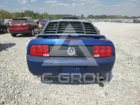 2005 Ford MUSTANG фото