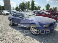 2005 Ford MUSTANG фото