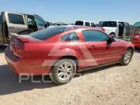 2005 Ford MUSTANG photo