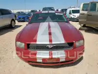 2005 Ford MUSTANG photo