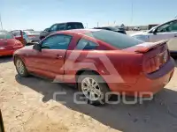 2005 Ford MUSTANG photo