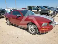 2005 Ford MUSTANG photo