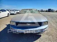 2005 Ford MUSTANG фото