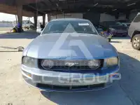 2005 Ford MUSTANG фото
