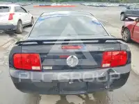 2005 Ford MUSTANG photo