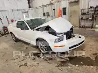 2005 Ford MUSTANG фото