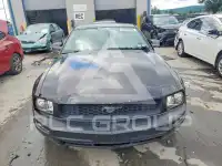 2005 Ford MUSTANG photo