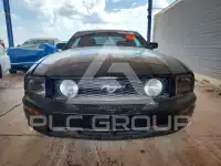 2005 Ford MUSTANG фото
