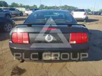 2005 Ford MUSTANG фото