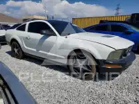 2005 Ford MUSTANG фото