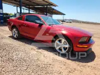 2005 Ford MUSTANG фото
