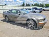 2005 Ford MUSTANG photo