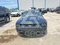 2005 Ford MUSTANG фото