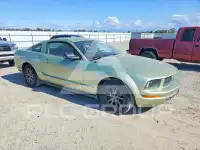 2005 Ford MUSTANG фото