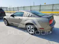 2005 Ford MUSTANG фото