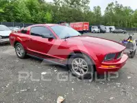 2005 Ford MUSTANG фото