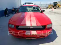 2005 Ford MUSTANG фото